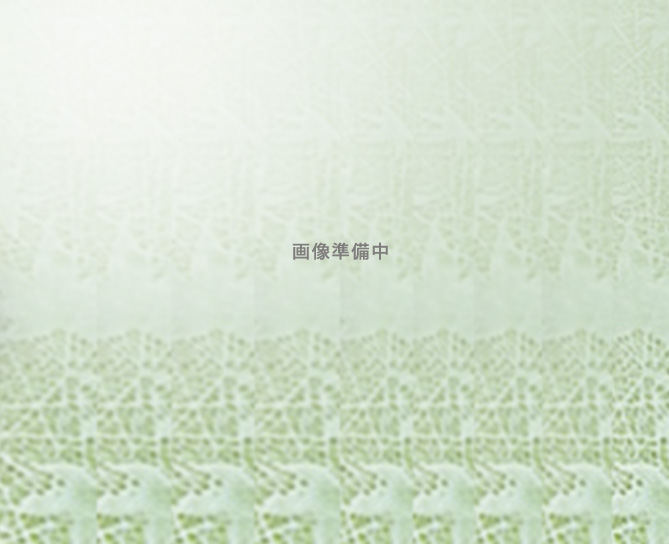 画像準備中